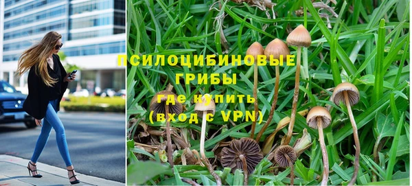 2c-b Белокуриха