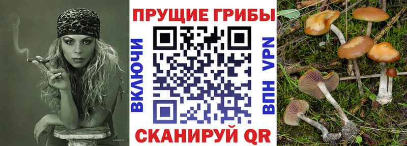 Псилоцибиновые грибы MAGIC MUSHROOMS Улан-Удэ